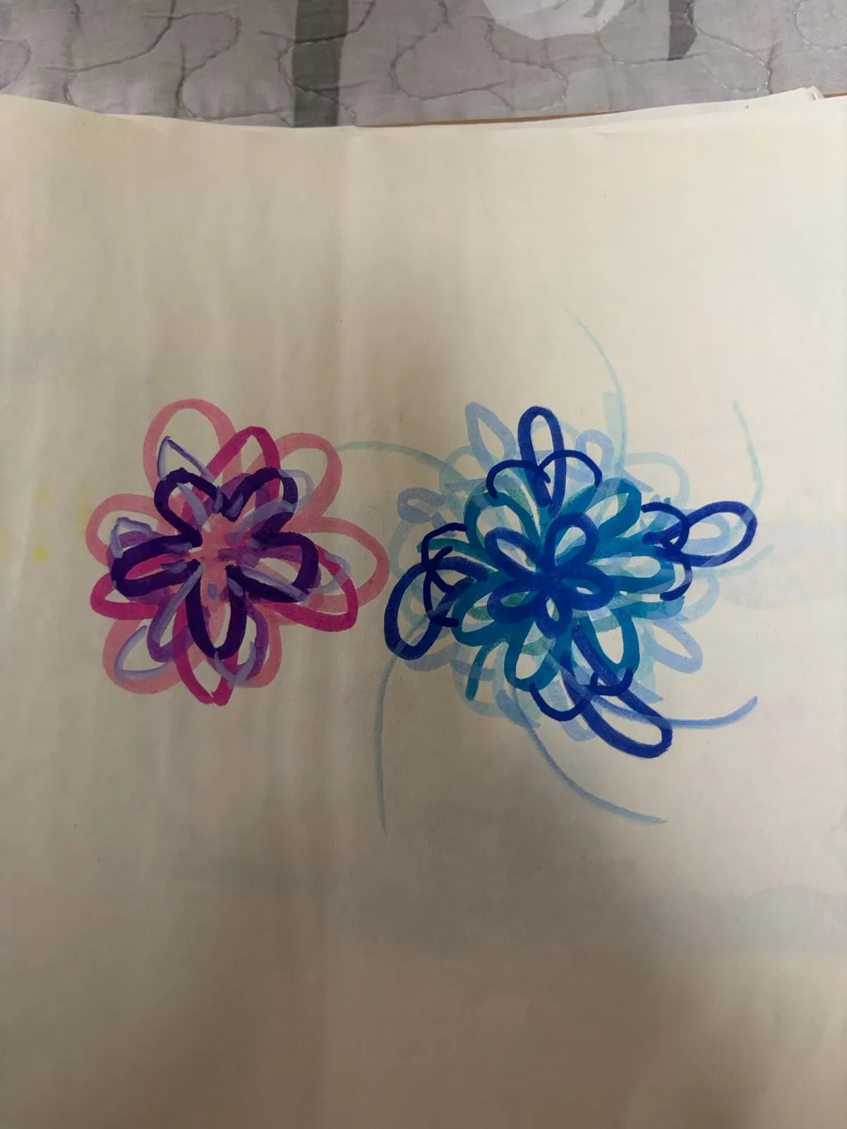 两朵花