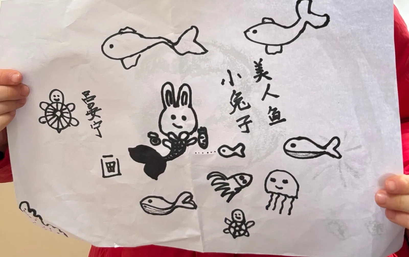 美人鱼和小兔子